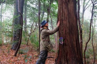 [Becoming a tree – Guided body movement and Meditation workshop]

This is the fourth workshop belonging to this year’s GAP Regional Core and Distinctive research project “From the Body of Things to Their Whisper - Ki”.

Like trees, the human body acts as a conduit for transporting matter, nutrients, and energy: we all draw nourishment from the earth, transform it into other forms of matter through our bodies, and return it to nature. The energy generated in this process becomes the driving force behind our actions (body) and thoughts (spirit).
This activity aims to experience the energy of trees: sit quietly in the forest, embrace the trunks, imagine yourself as a tree, and feel the constant cycle within them. Imagine the roots absorbing nutrients from the depths, transporting them to each leaf, and then the fallen leaves returning to the soil.

Become a tree, breathe and grow like a tree, communicate with trees, and resonate with nature.

Field walking guided by: @terencextcao 
Body movement and meditation guided by: @melaniestiniguta 
Archive photos by: @karynzialor 

Organized by: Tokyo University of the Arts
Planning and Managed by: Global Art Practice
Supported by: Toride Art Project Office (NPO) @toride_ap 
Partnership: Geidai Arts Project Training (Toride Course)
R7 Regional Core and Distinctive Research University Strengthening Promotion Project